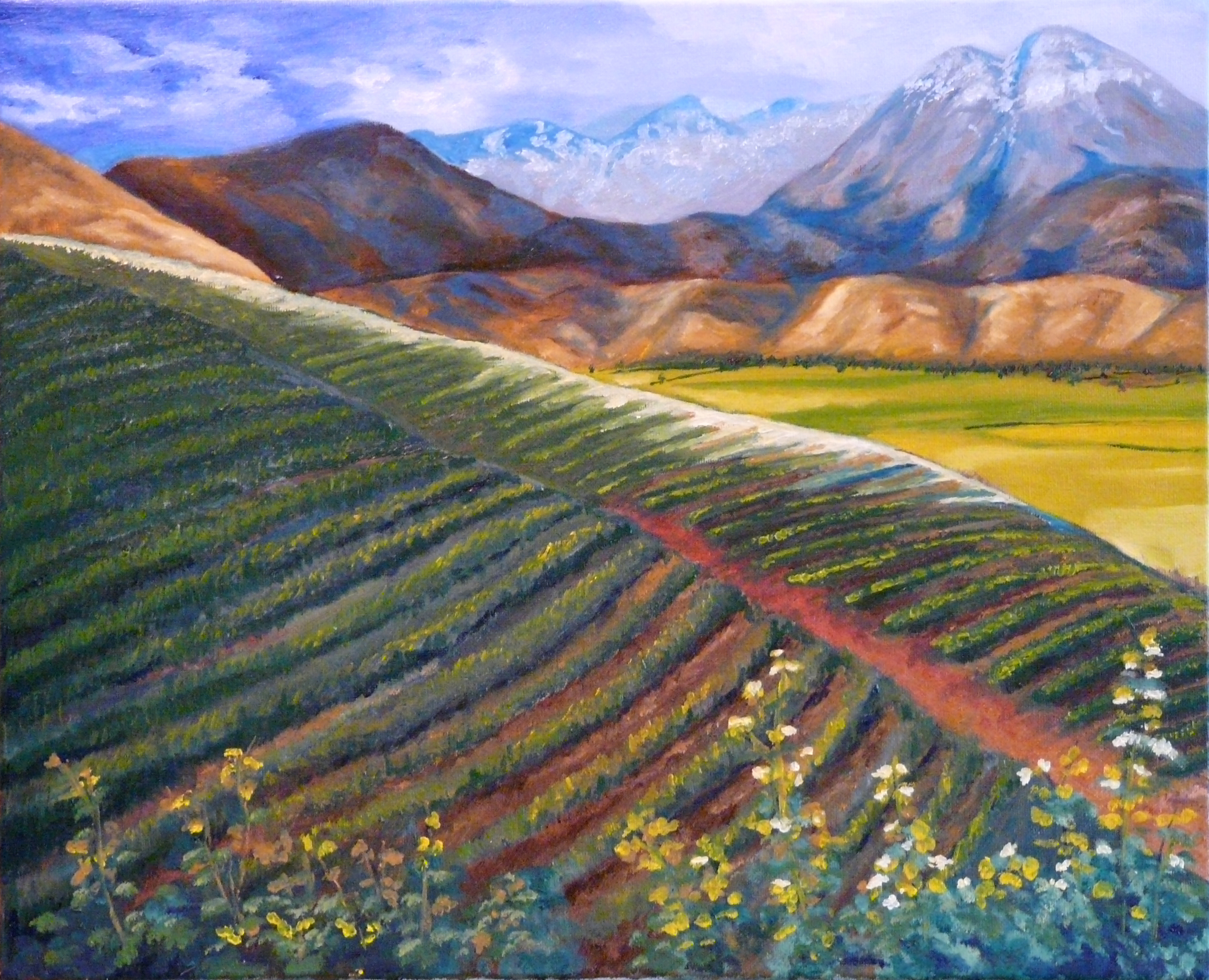 Original Oil Painting by Vic Ritchey, "Mountain Farmland, The vineyard"